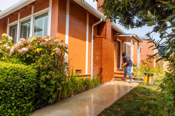 Best House Pressure Washing  in Hammond, LA