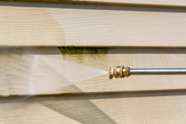 Best Pressure Washing Company Near Me  in Hammond, LA