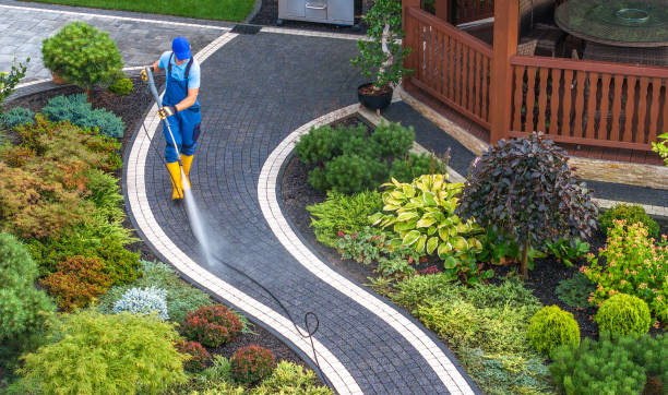 Best House Pressure Washing  in Hammond, LA