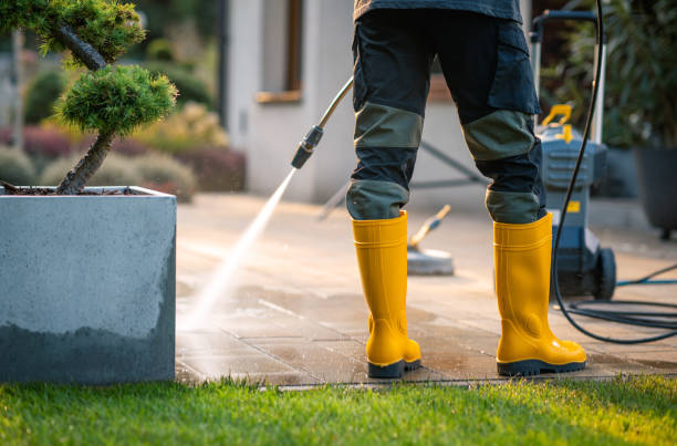 Best Affordable Pressure Washing  in Hammond, LA